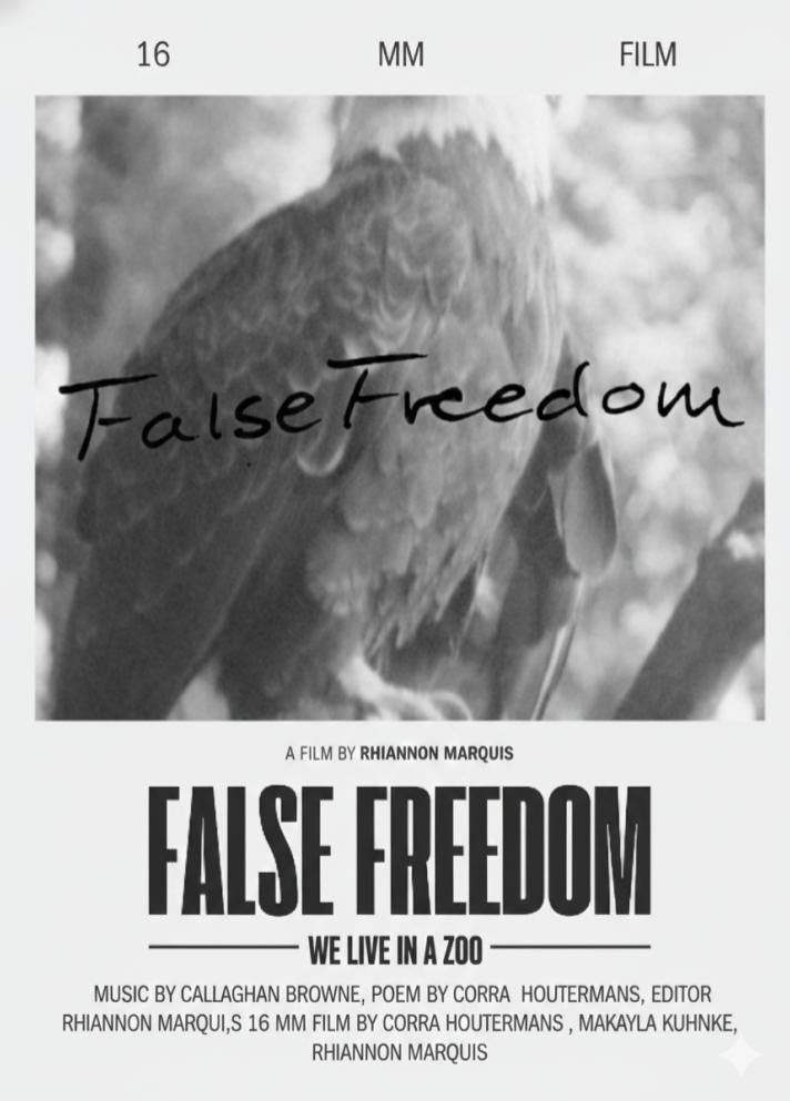 False Freedom