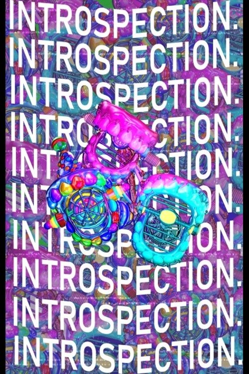 INTROSPECTION.