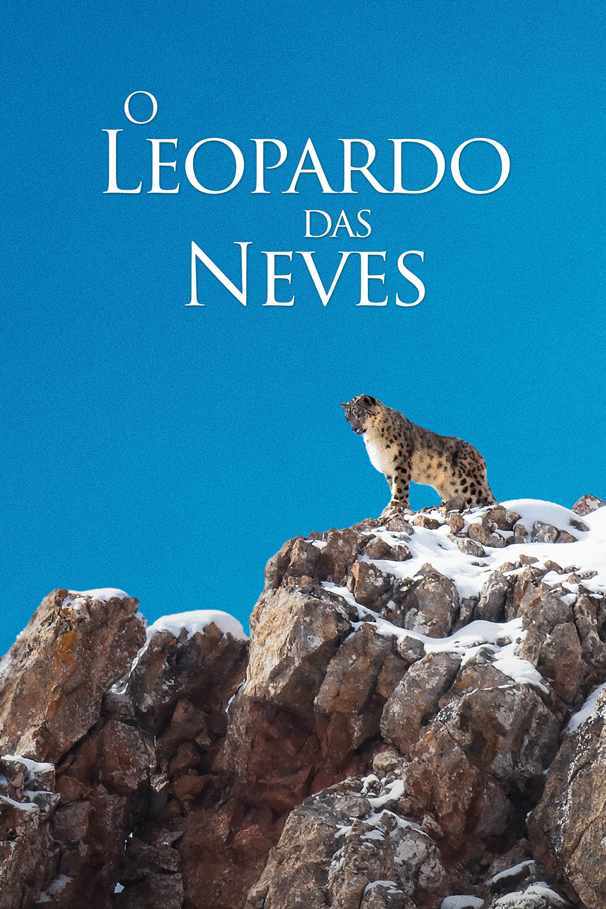 La Panthère des neiges