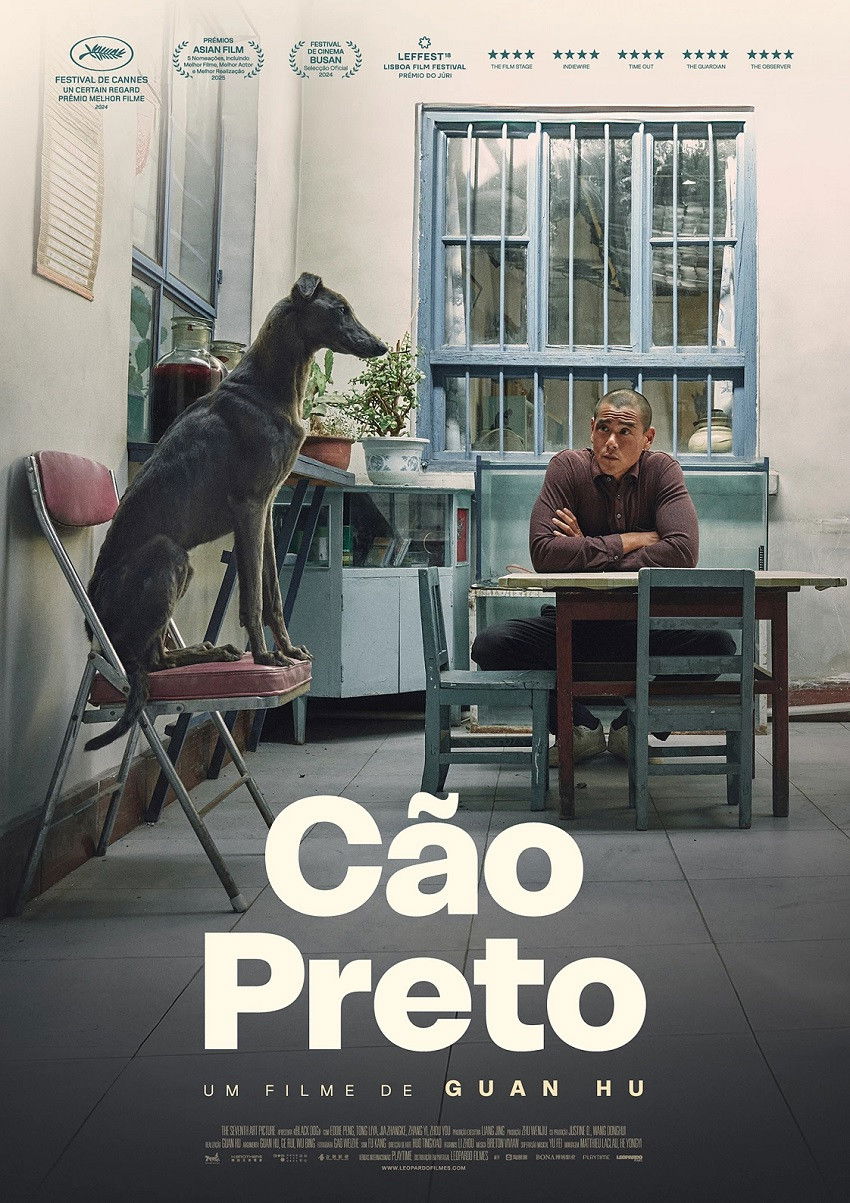 Cão Preto