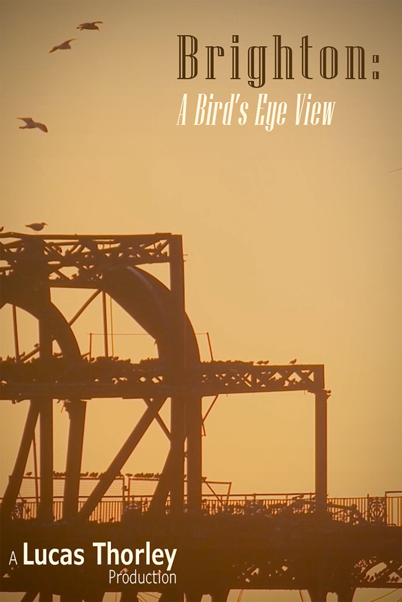 Brighton: A Bird's Eye View