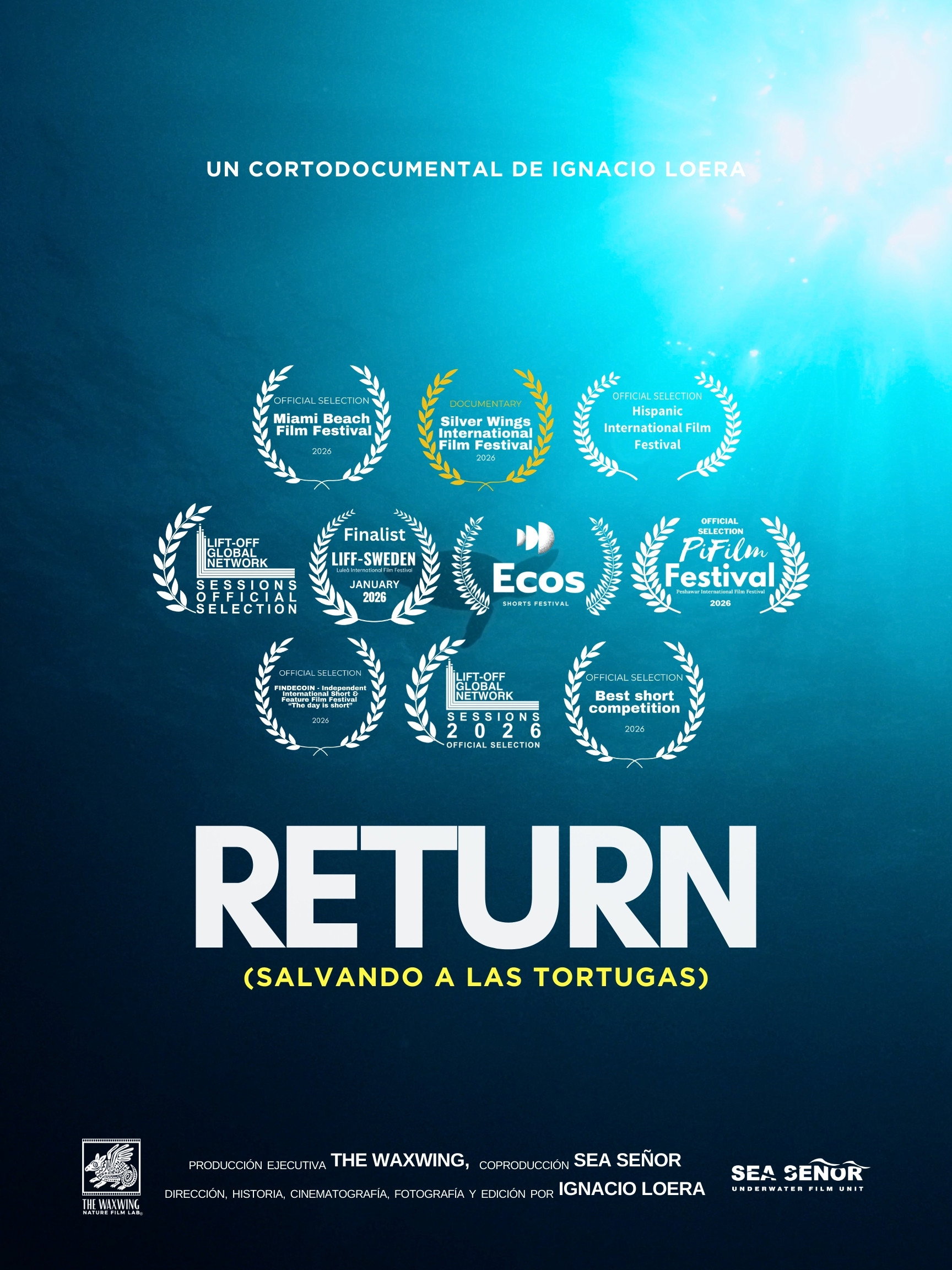 Return: Salvando a las Tortugas