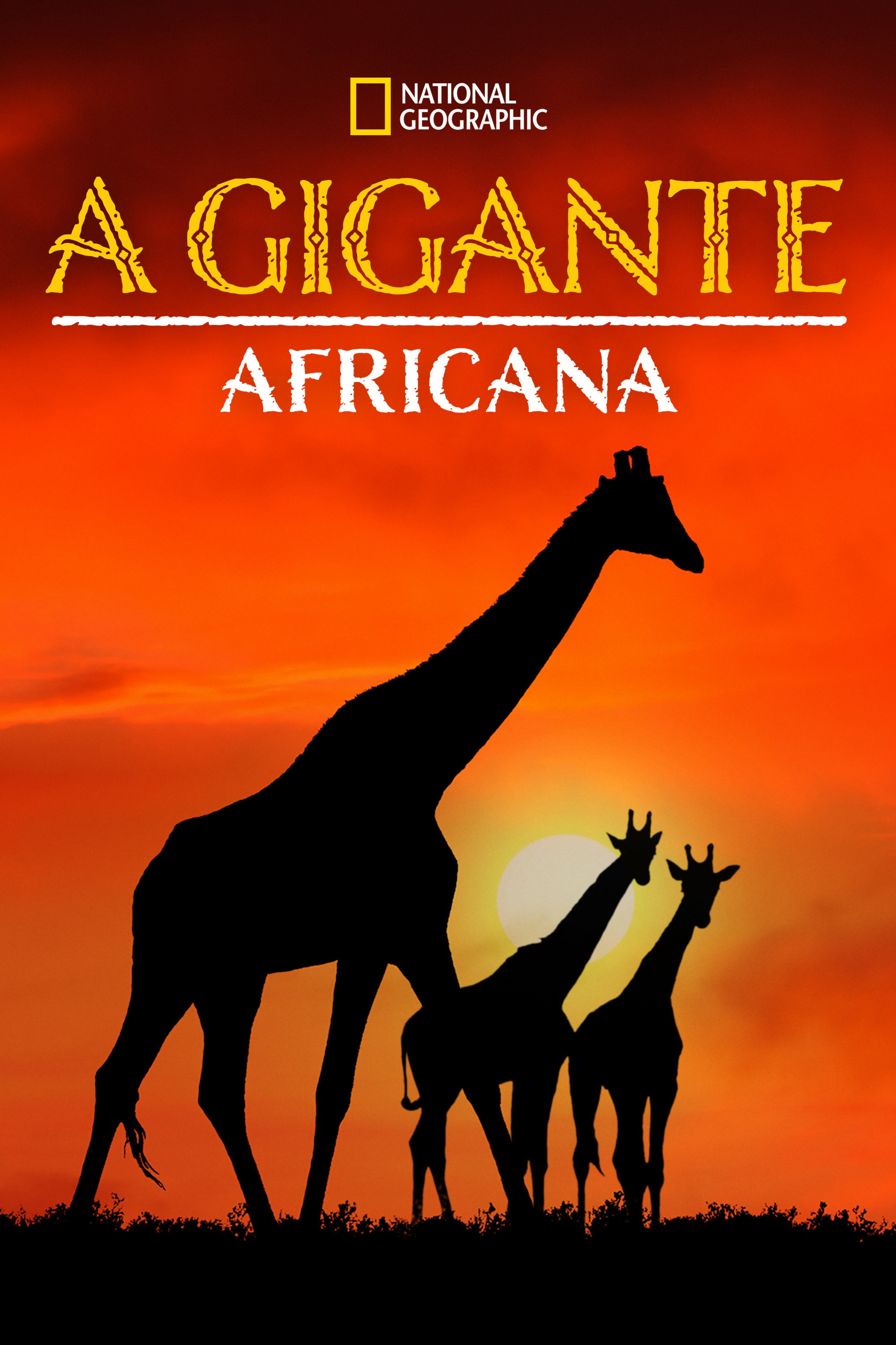 Giraffe: African Giant