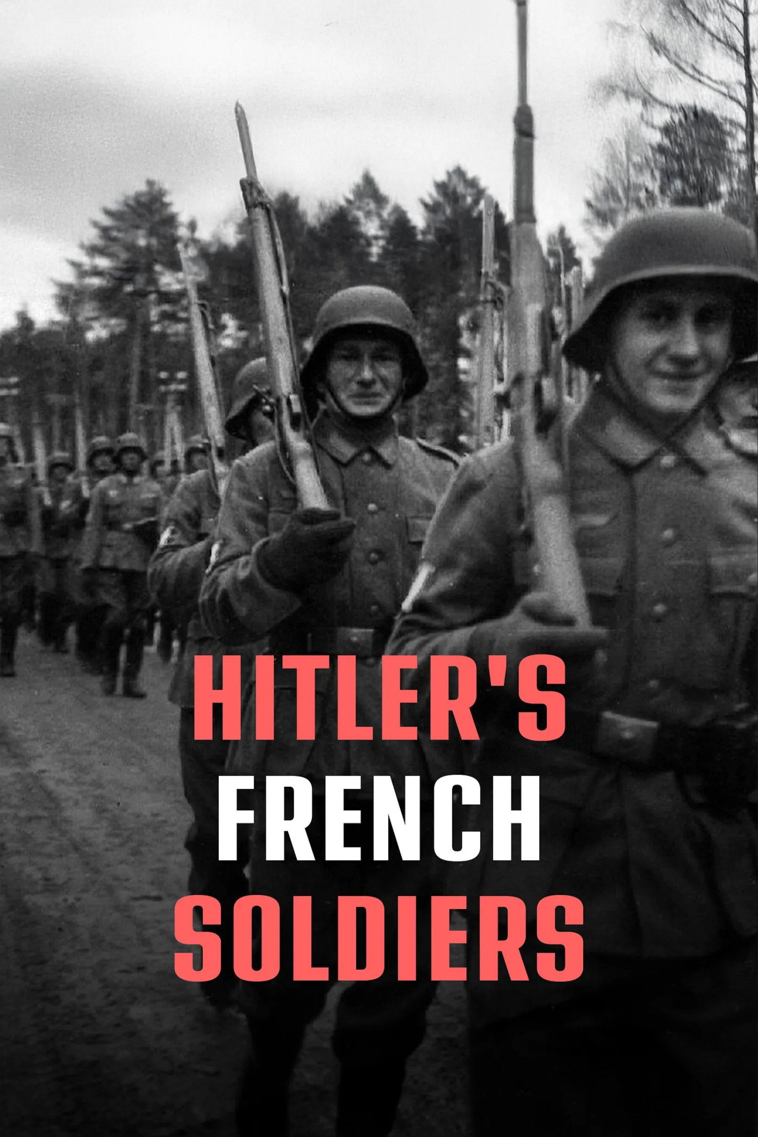 French Soldiers of the Third Reich