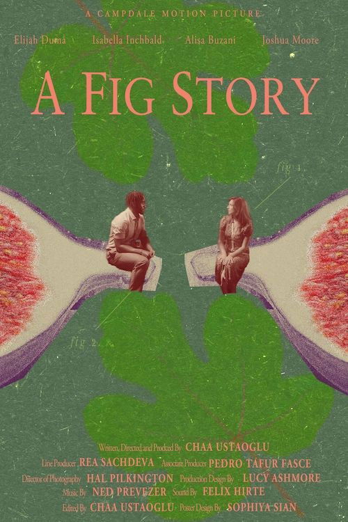 A Fig Story