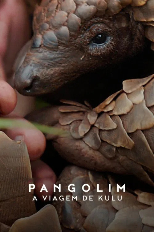 Pangolins: A Viagem de Kulu