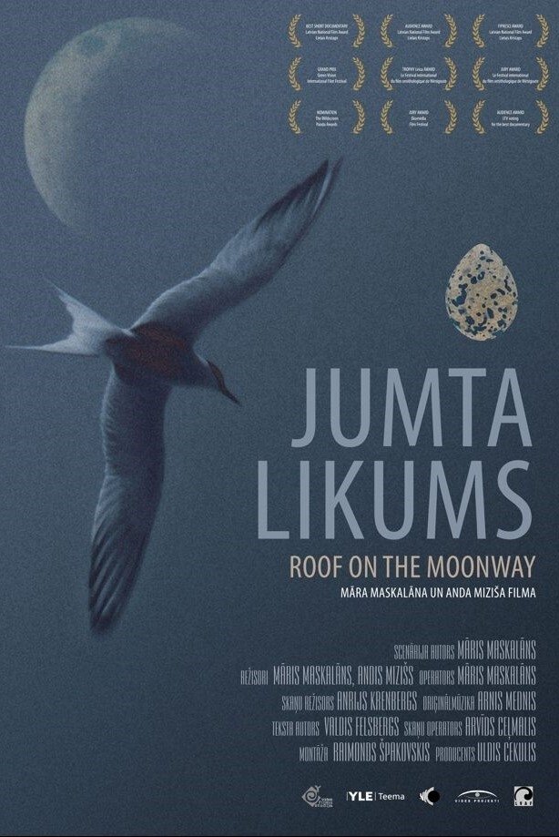 Roof on the Moonway