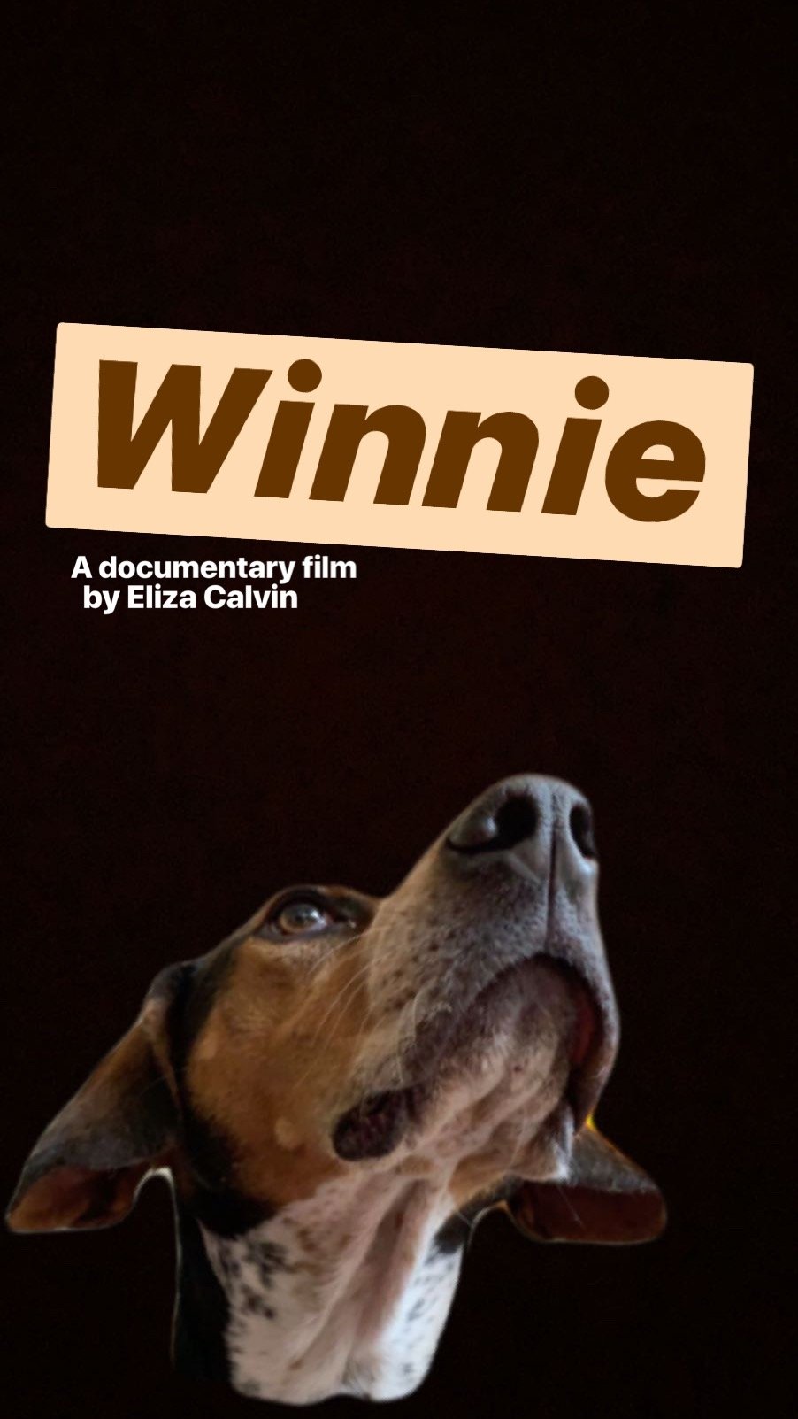 Winnie