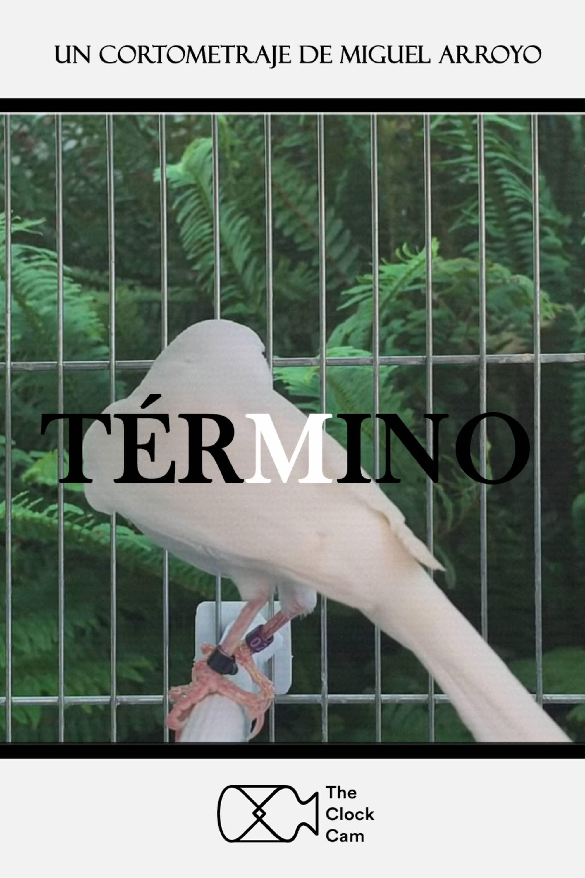 Término