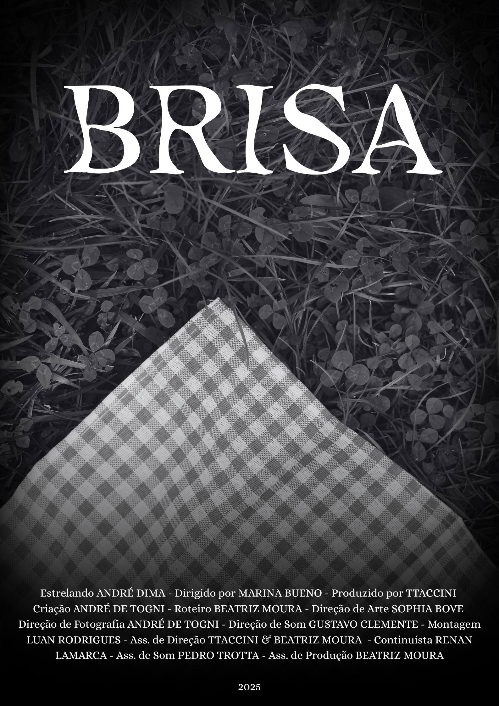 Brisa