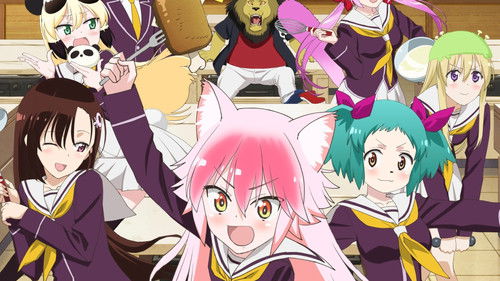 Seton Academy: Join the Pack!