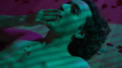 Garden of the Sleepwalkers