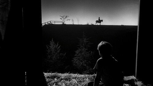 The Night of the Hunter