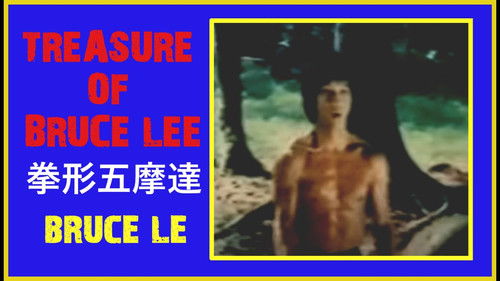 Treasure of Bruce Le