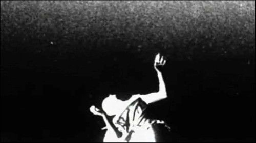 Din of Celestial Birds