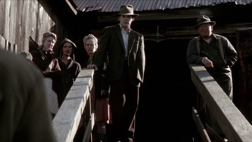 Snow Falling on Cedars