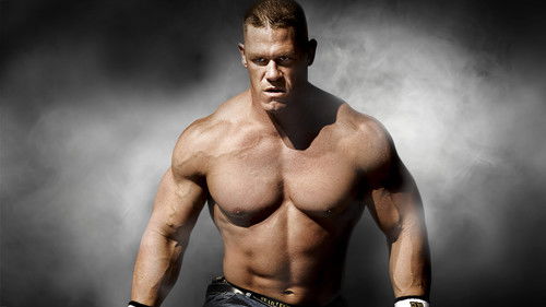 WWE Survivor Series 2008