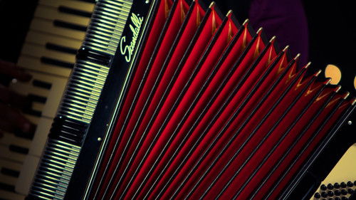 ‘Pedazo de acordeón’, un viaje a través de la historia del vallenato