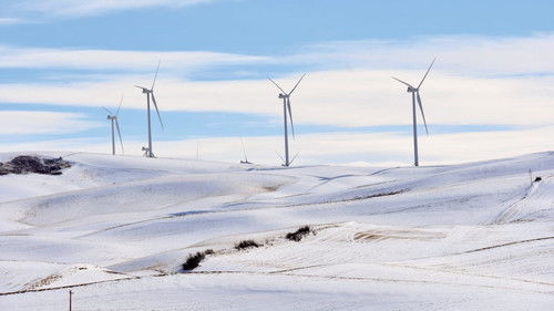 Climate: The Movie (The Cold Truth)