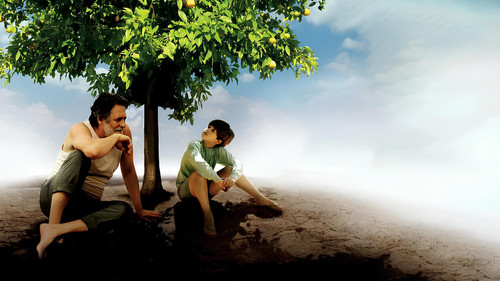 My Sweet Orange Tree