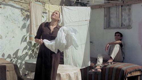 The House on Chelouche Street