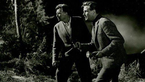 Der Schatz vom Toplitzsee