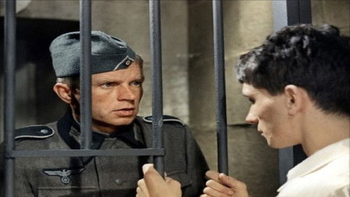 Franciscan of Bourges