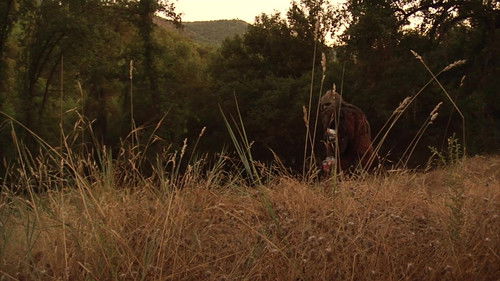 Bigfoot's Wild Weekend