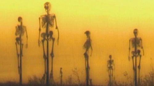 Visions of Suffering