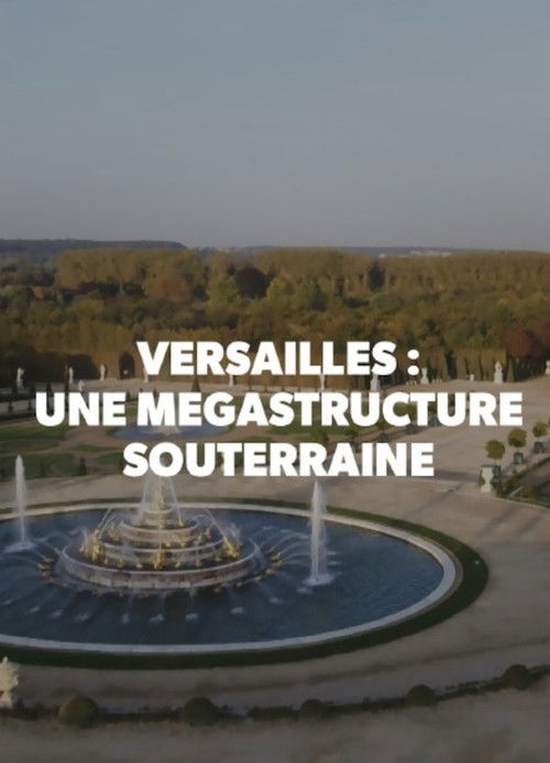 Versailles: Une Megastructure Souterraine