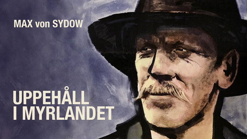 Interlude in the Marshland