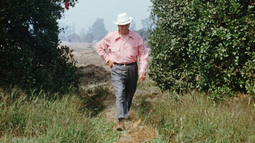 Disneyland Handcrafted