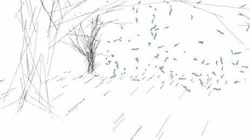 The Train, The Forest