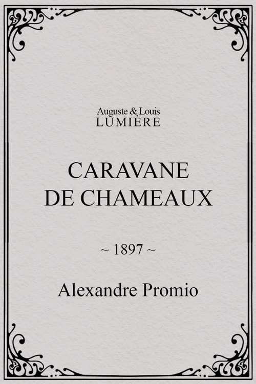 Caravane de chameaux