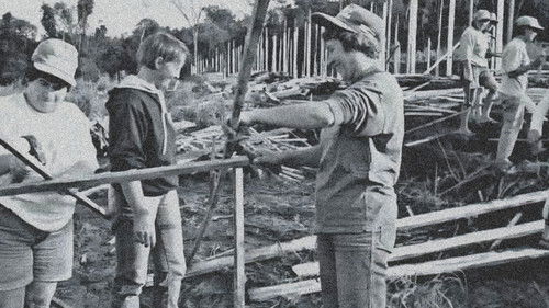 O Sonho de Rose: 10 Anos Depois