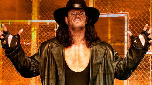 WWE Hell in a Cell 2009