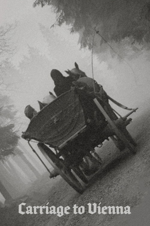 Carriage to Vienna