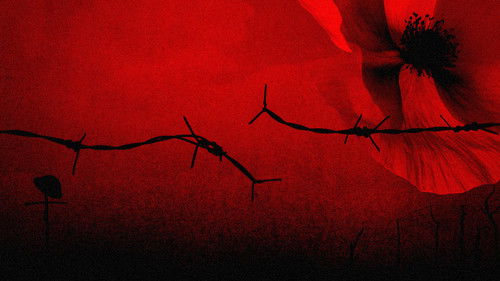 The Somme 1916: From Both Sides of the Wire