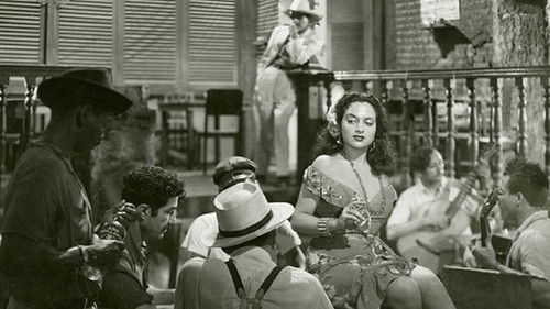 The Yacht Isabel Arrived This Afternoon