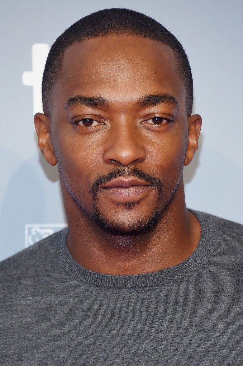 Ентоні Макі / Anthony Mackie TMDB Photo