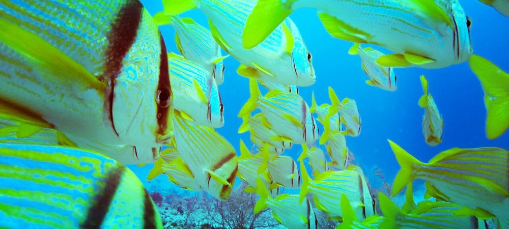 Backdrop of Red Sea