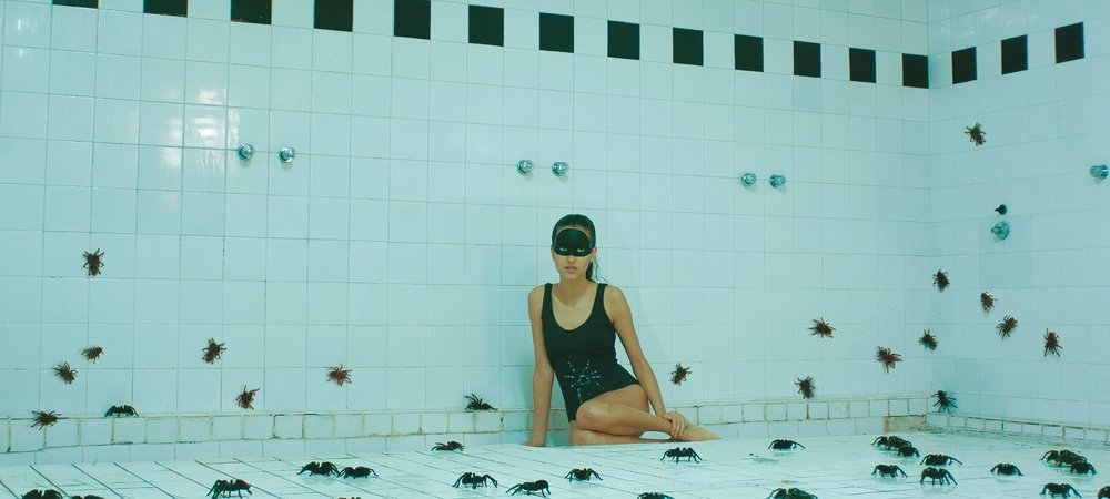 Backdrop of Arachnids