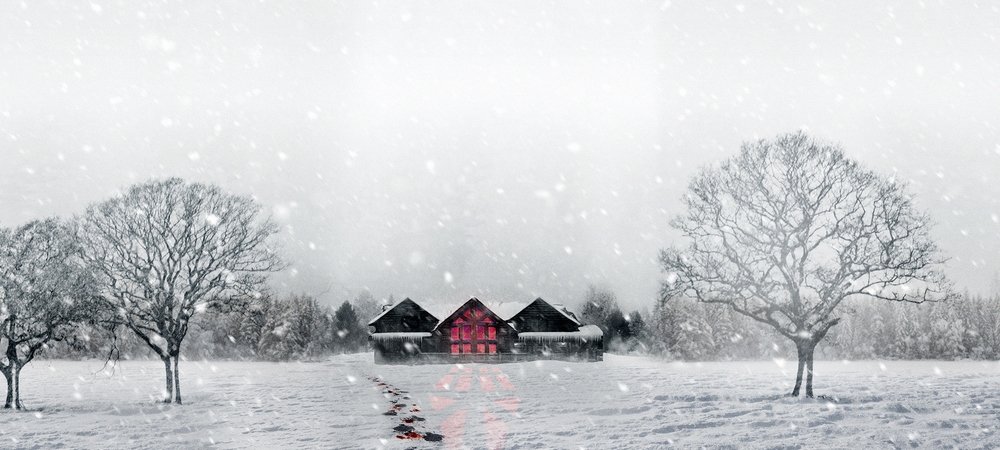 Backdrop of Snow Falls