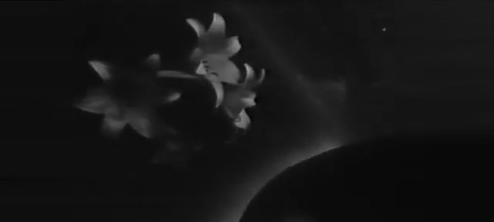 Backdrop of Aleph