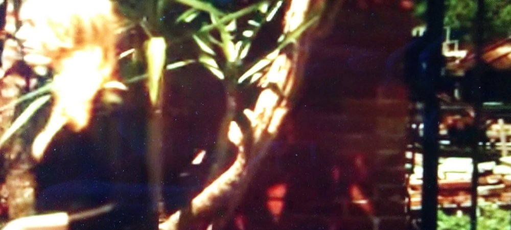 Backdrop of Reflexions