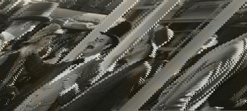 Backdrop of Silver Dollar