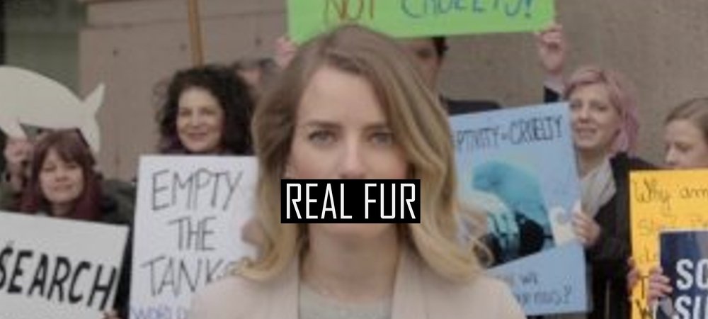 Backdrop of Real Fur