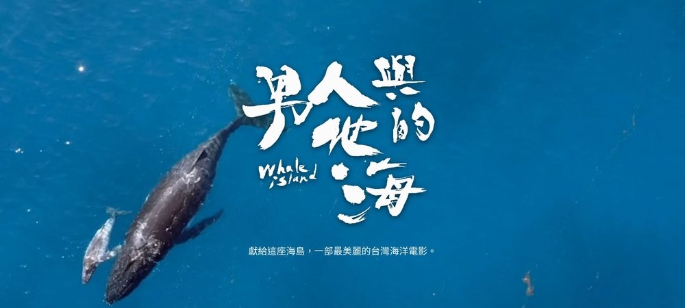 Backdrop of Whale Island