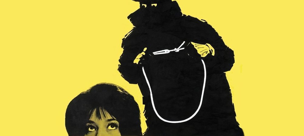 Backdrop of Nylon Noose