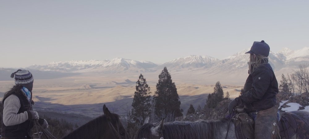 Backdrop of Bitterbrush
